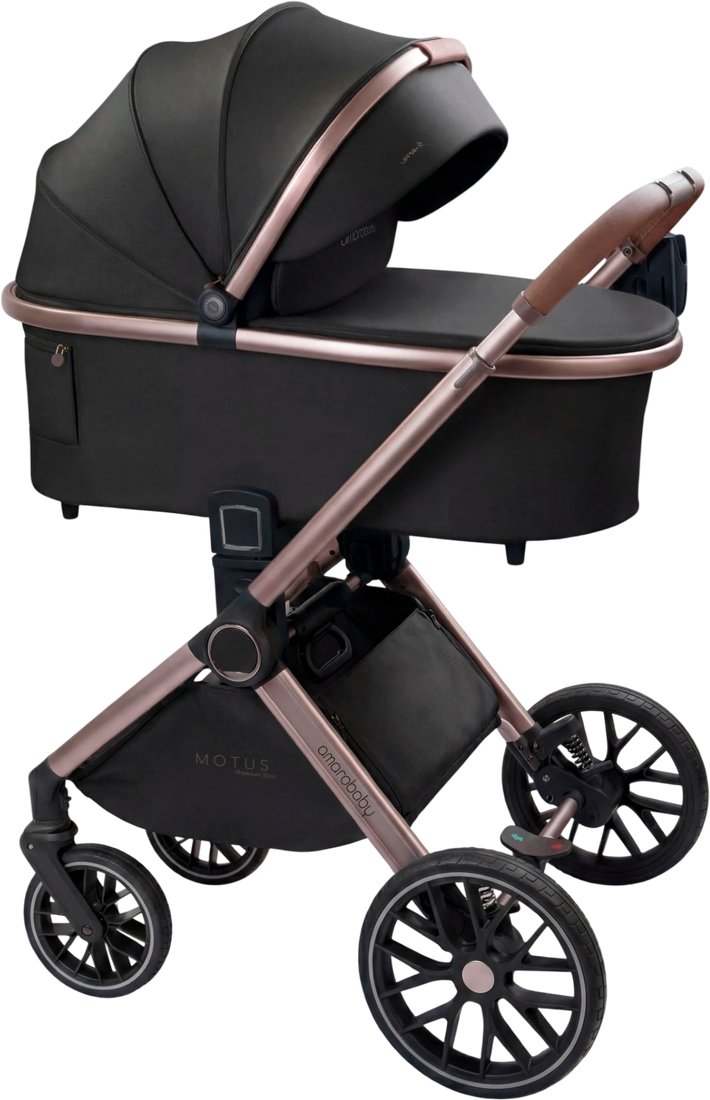 Универсальная коляска Amarobaby 2в1 Motus Premium Ecco Exclusive AB26-10MOTUSF/09 (черный)