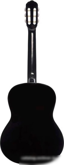 Акустическая гитара Terris TC-390A BK