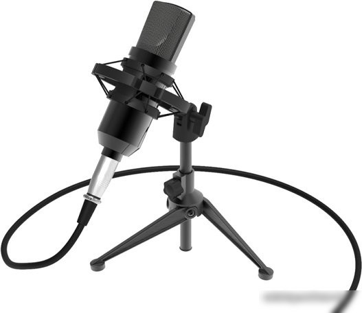 Проводной микрофон Ritmix RDM-160