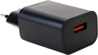 Сетевое зарядное Ergolux ELX-РA01P-C02 ПРОМО
