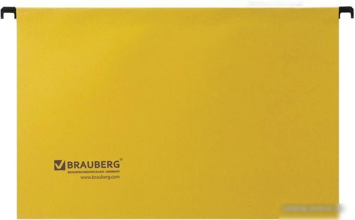 Набор папок BRAUBERG 231794 (10 шт)