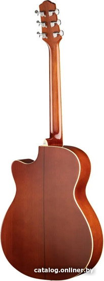 Акустическая гитара Naranda TG220CNA