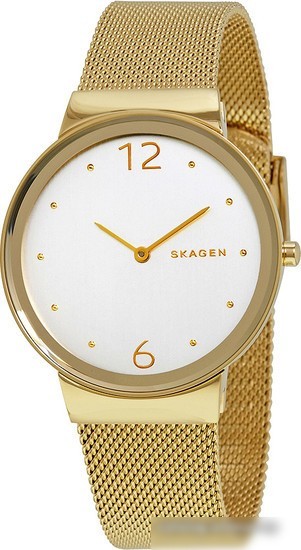 Наручные часы Skagen SKW2519
