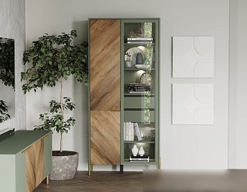 Шкаф-витрина Black Red White Siena с подсветкой REG1W1D (дымчатый зеленый/дуб вотан)