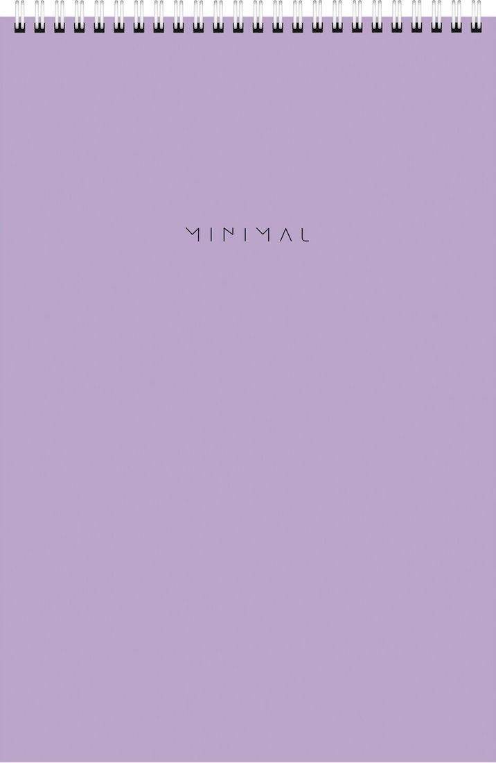 Блокнот BRAUBERG Minimal Pastel 116453 (2шт, 80л)