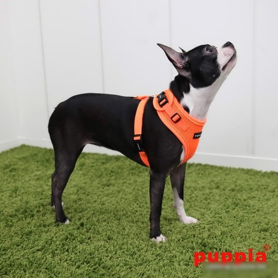 Шлейка Puppia Neon Soft PAQA-AC1430-OR-S (оранжевый)