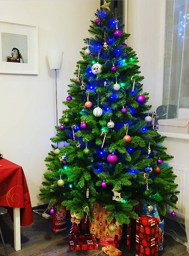 Ель Max Christmas Кавказская (2.2м, подставка металл)