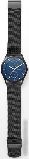 Наручные часы Skagen SKW6450