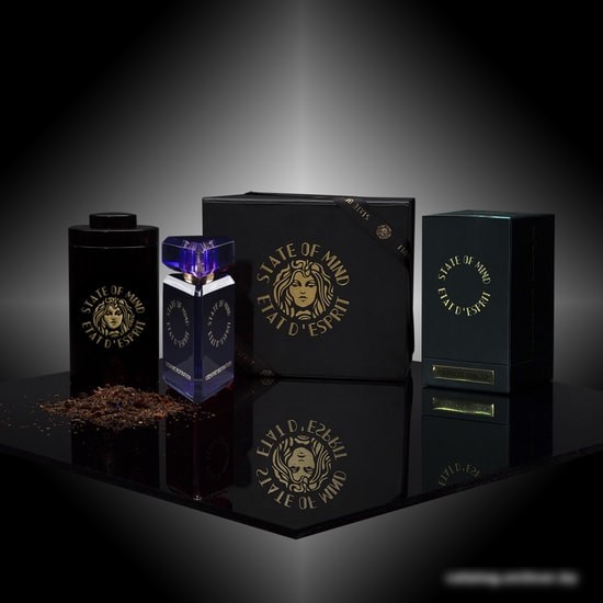 State of Mind Creative Inspiration EdP (20 мл)