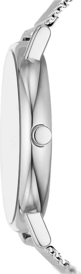 Наручные часы Skagen SKW6904