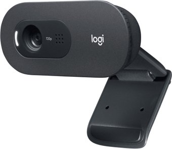 Веб-камера Logitech C505e