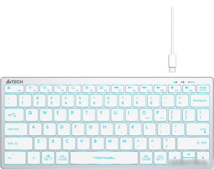Клавиатура A4Tech Fstyler FX61 (серебристый/белый)