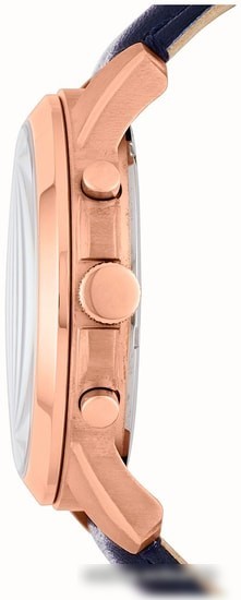 Наручные часы Fossil Grant FS4835IE