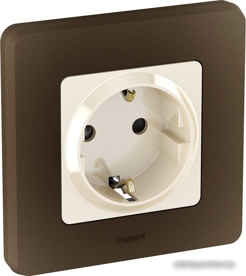 Розетка Legrand Inspiria 673731