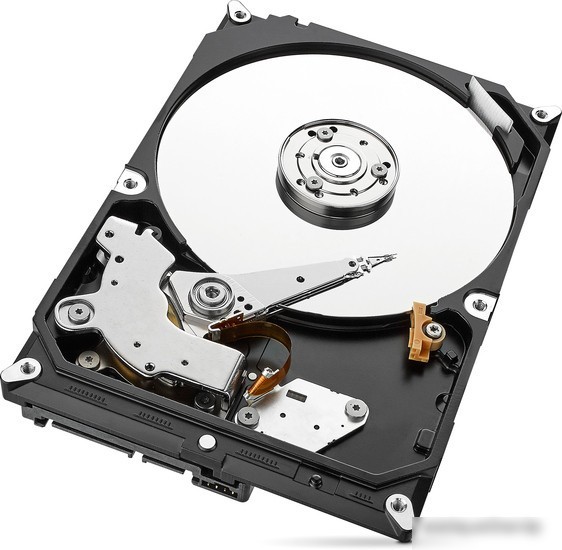 Жесткий диск Seagate Skyhawk 1TB [ST1000VX005]