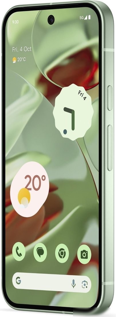 Телефон Google Pixel 9 12GB/256GB (винтергрин)
