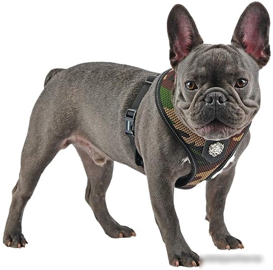 Шлейка Puppia Thermal Soft PLRD-HA9345-CA-XL (камуфляж)