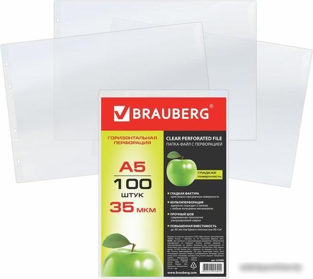 Набор файлов BRAUBERG 223085 (100 шт)