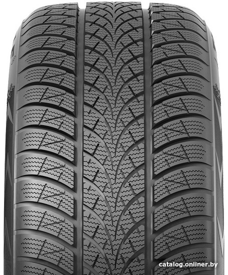 Зимние шины Triangle TW401 195/55R16 91H
