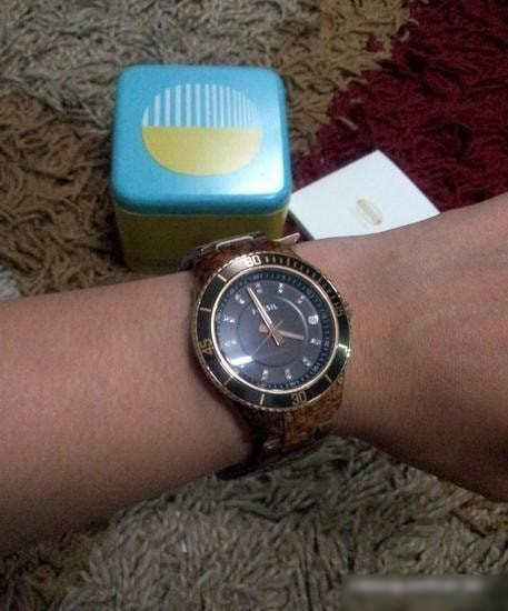 Наручные часы Fossil ES3088