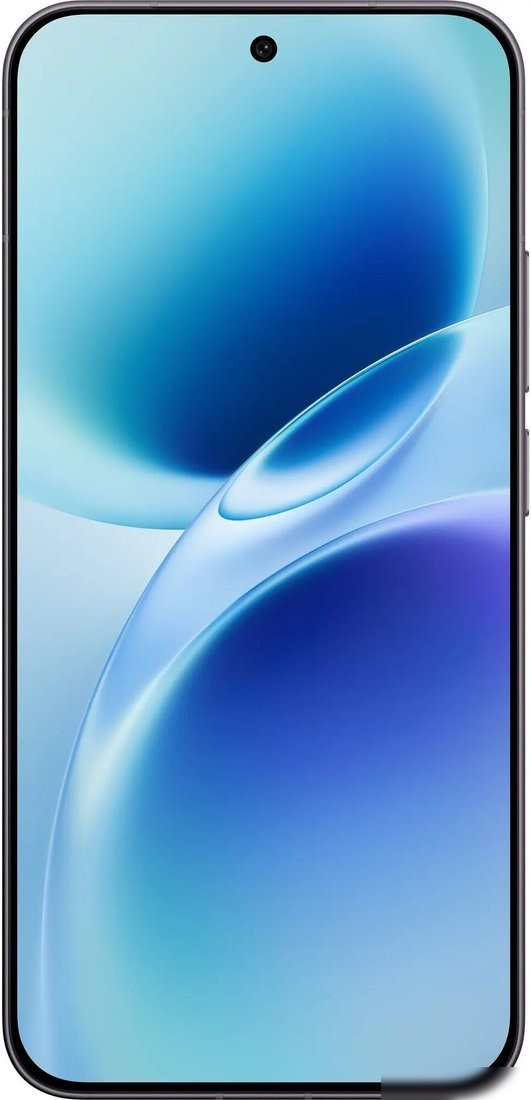 Телефон Vivo X300 FE V2537 12GB/256GB международная версия (графитовый черный)