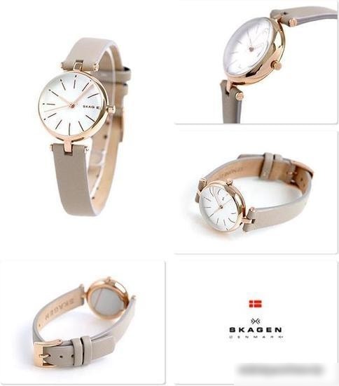 Наручные часы Skagen SKW2643