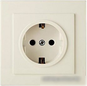 Розетка Элект RS16-133-Б