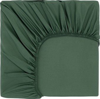 Постельное белье Sofi De MarkO Трисс 180x200x20 Пр-Тр-180х200з (зеленый)