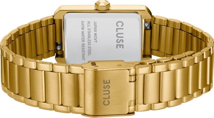 Наручные часы Cluse CW15001