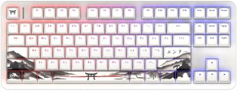 Клавиатура Red Square Alumix TKL Satori (g3ms Jade)