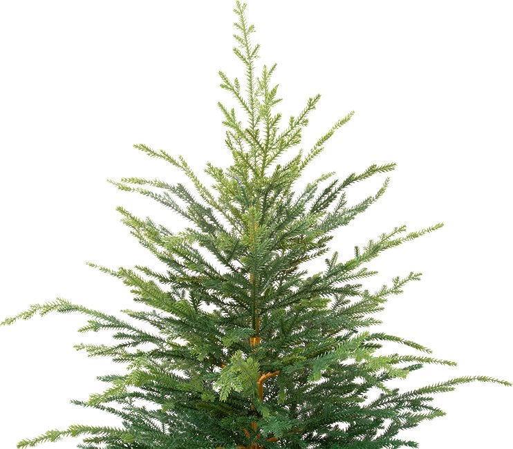 Ель Winter Fun 26301-90CM