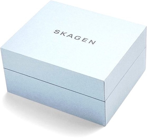 Наручные часы Skagen SKW1101