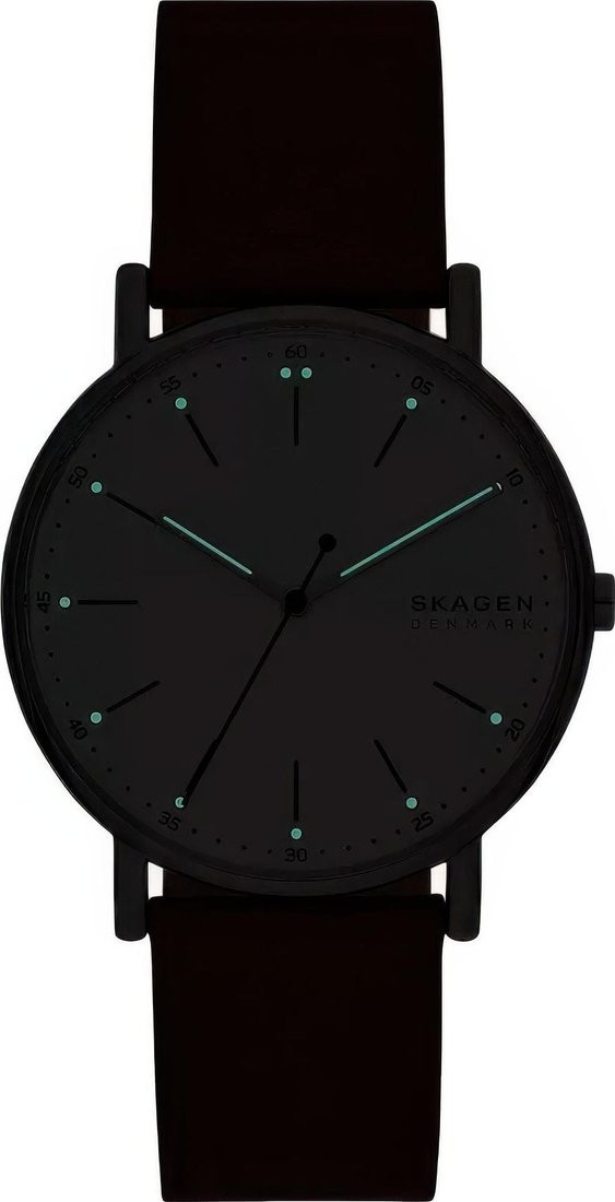 Наручные часы Skagen SKW6903