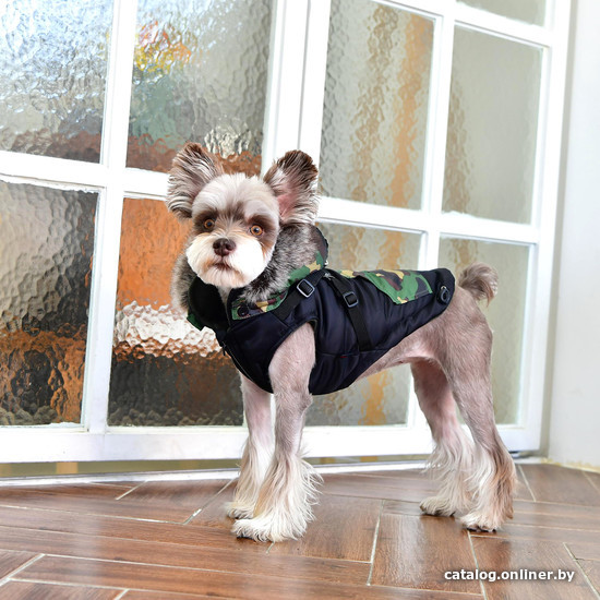 Жилетка для животных Puppia Orson PARD-VT1569-BK-XL (черный)