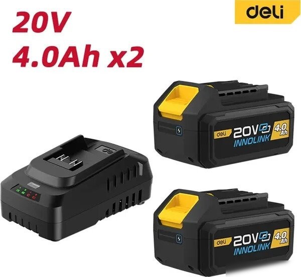 Аккумулятор с зарядным устройством Deli EDL-CM20A4E (20В/2x4 Ah + 20В)