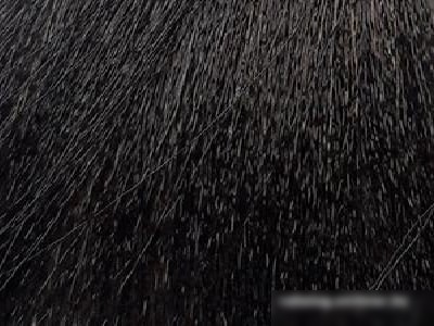 Sergio Professional Color&Blonde 5.00 светло-коричневый интенсивный