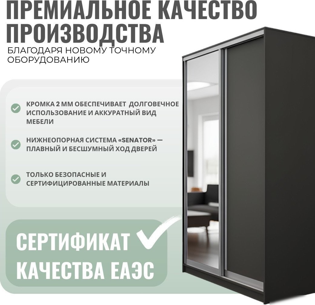 Шкаф-купе Рэйгрупп 272 BBX Elgon РГ-14.05 (белый премиум/белый премиум/хром)