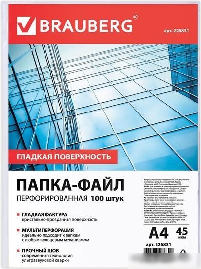 Набор файлов BRAUBERG 226831 (100 шт)