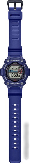 Наручные часы Casio WS-1300H-2A
