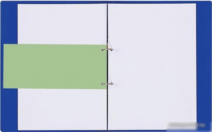 Разделитель документов BRAUBERG 223971 (зеленый)