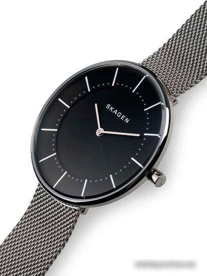 Наручные часы Skagen SKW2561