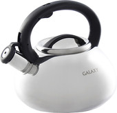 Чайник Galaxy GL9207
