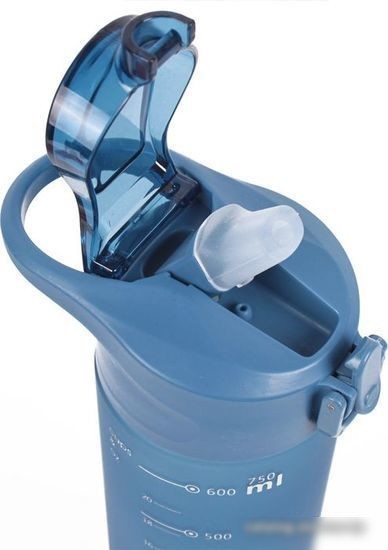 Бутылка для воды Darvish DV-H-1605-1 750мл (синий)