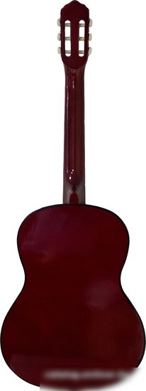 Акустическая гитара Belucci BC3905 OR