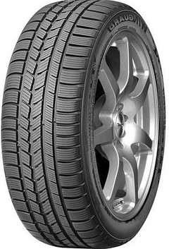 Автомобильные шины Roadstone Winguard Sport 245/45R18 100V