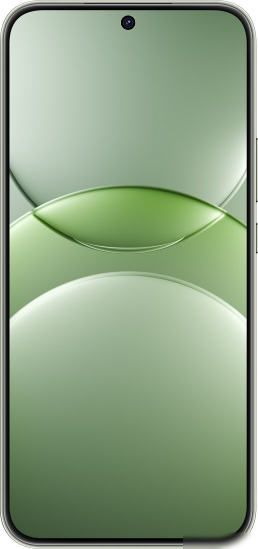 Телефон Huawei nova 13 BLK-LX9 12GB/512GB (дымчатый зеленый)