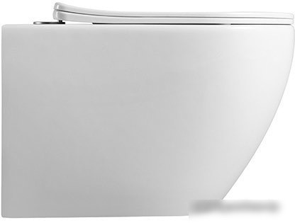 Унитаз CeramaLux 2196-1