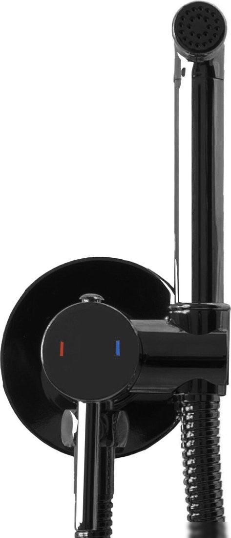 Гигиенический душ Rea Lungo Loop REA-B5656 (черный металлик)