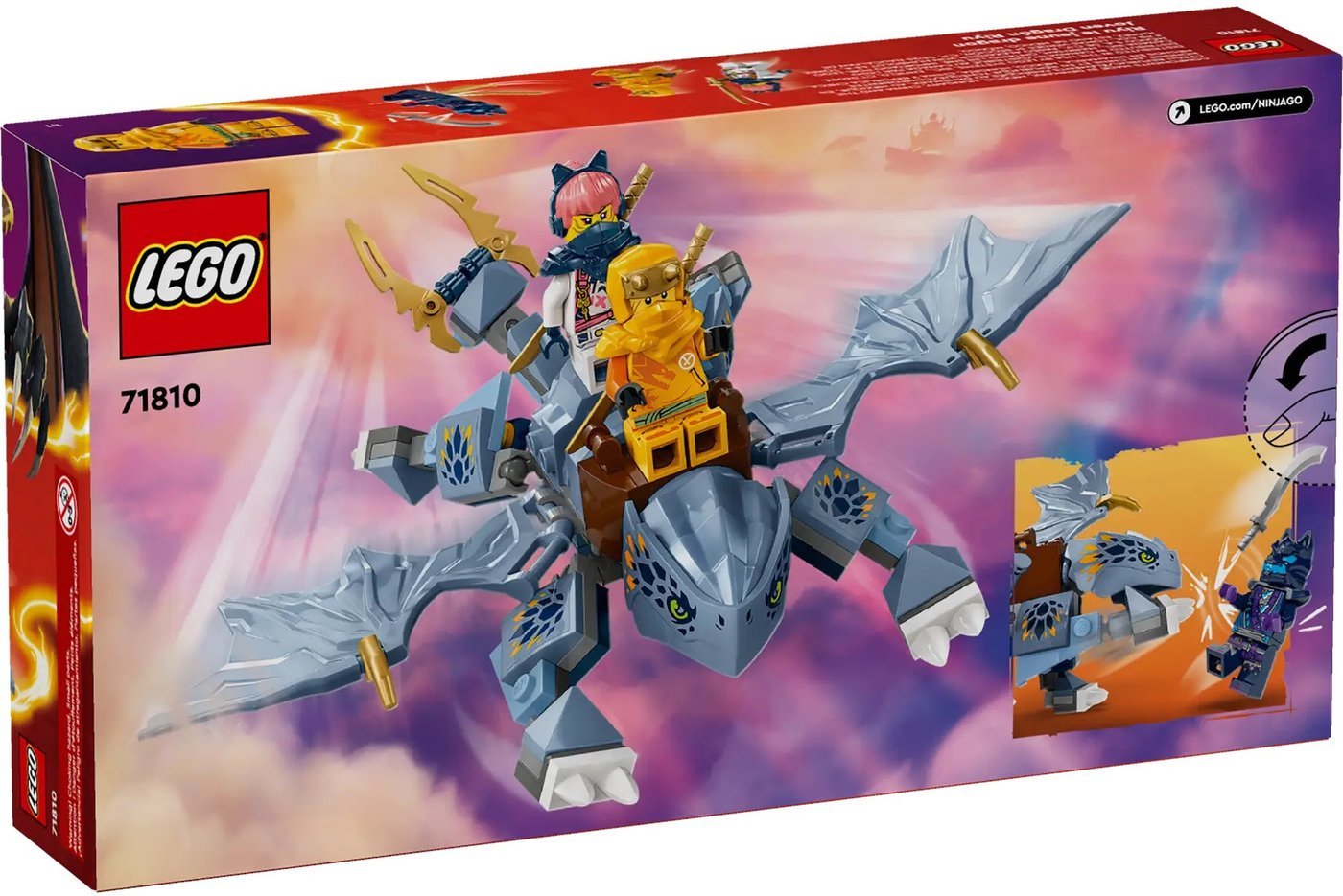 Конструктор LEGO Ninjago Молодой дракон Рию 71810