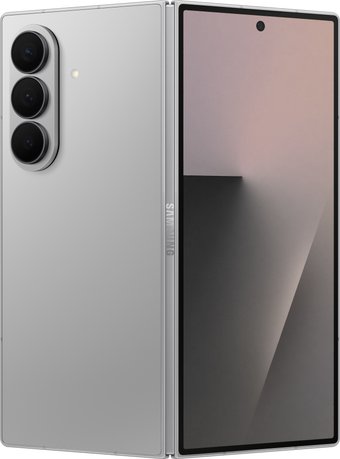 Телефон Samsung Galaxy Z Fold7 SM-F966B/DS 12GB/512GB (серебристый)